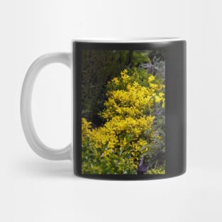 Golden euonymus shrub Mug